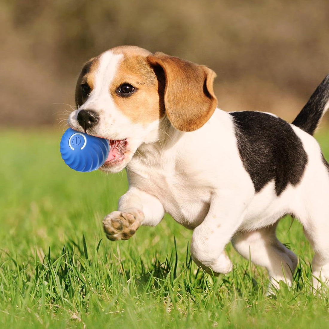 2X1 PELOTA INTERACTIVA PARA MASCOTAS