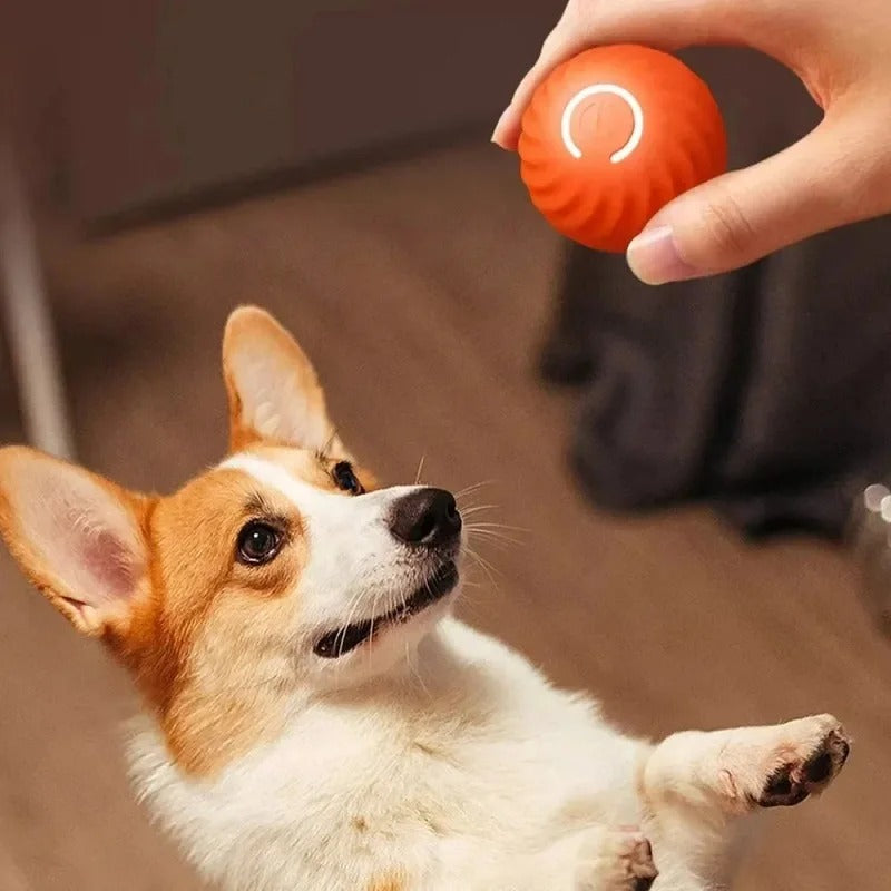 2X1 PELOTA INTERACTIVA PARA MASCOTAS